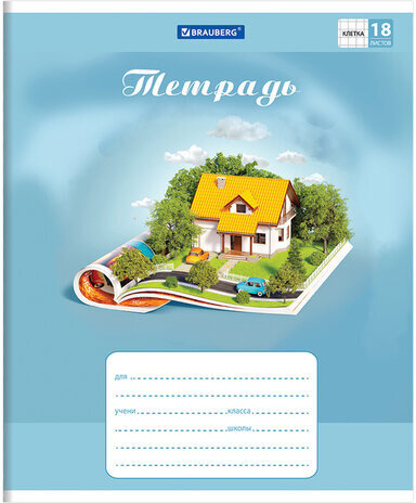 Тетрадь 18 л. BRAUBERG, клетка, обложка картон, WORLD IN BOOK, 402993