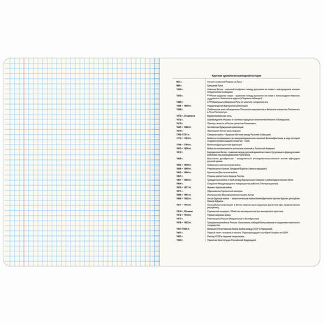 Тетрадь предметная "ANIME" 48 л., глянцевый УФ-лак, ИСТОРИЯ, клетка, BRAUBERG, 404539