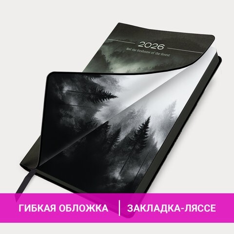 Ежедневник датированный 2026 А5 138x213 мм, BRAUBERG "Vista", под кожу, гибкий, "Mist", 117450