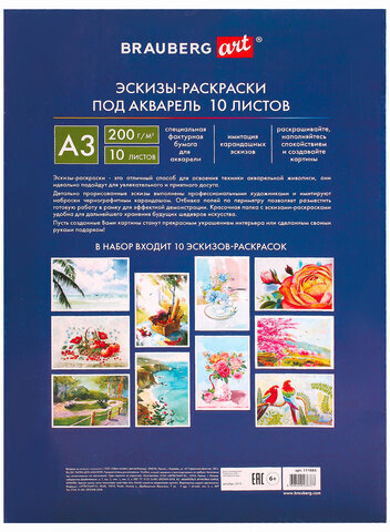 Папка для акварели С ЭСКИЗОМ, БОЛЬШАЯ А3, 10 л., 200 г/м2, 297х420 мм, BRAUBERG, 110065, 111065