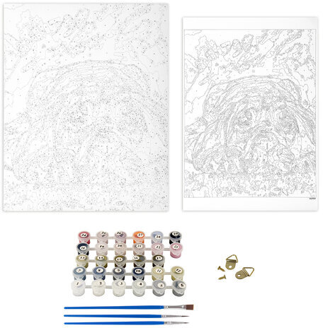 Картина по номерам 40х50 см, ОСТРОВ СОКРОВИЩ "Мечтай!", на подрамнике, акрил, кисти, 662904