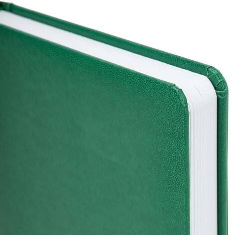 Ежедневник недатированный А5 (138х213 мм) BRAUBERG "Select", балакрон, 160 л., зеленый, 123431