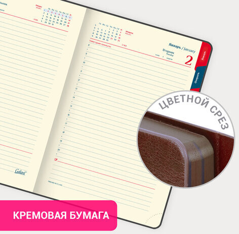 Ежедневник датированный 2024 А5 148х218 мм GALANT "Magnetic", под кожу, клапан, коричневый, 114757