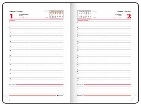 Ежедневник датированный 2024 А5 138x213 мм, BRAUBERG "Vista", под кожу, "Pastel", 114957