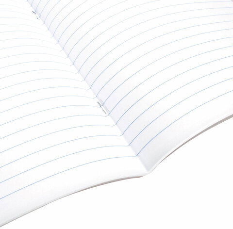 Тетрадь предметная ANIME 48 л., глянцевый УФ-лак, ЛИТЕРАТУРА, линия, BRAUBERG, 404540