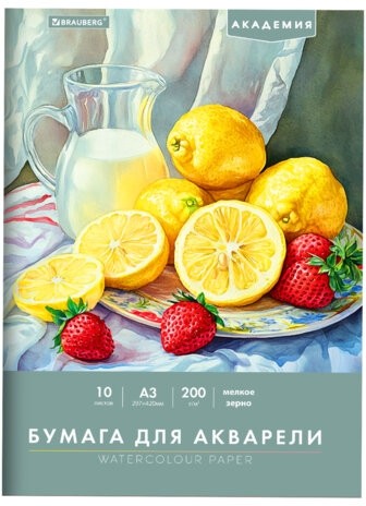 Папка для акварели БОЛЬШАЯ А3, 10л., 200 г/м2, 297х420мм, BRAUBERG АКАДЕМИЯ, "Летний натюрморт", 117741