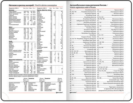 Ежедневник датированный 2023 МАЛЫЙ ФОРМАТ 100х150 мм А6, BRAUBERG "Rainbow", под кожу, красный, 113924