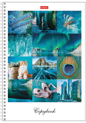 Тетрадь А4, 80 л., HATBER, гребень, клетка, сплошной лак, цветной срез, "Краски дня" (4 вида), 80Т4В1гр