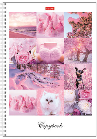 Тетрадь А4, 80 л., HATBER, гребень, клетка, сплошной лак, цветной срез, "Краски дня" (4 вида), 80Т4В1гр