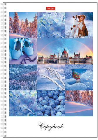 Тетрадь А4, 80 л., HATBER, гребень, клетка, сплошной лак, цветной срез, "Краски дня" (4 вида), 80Т4В1гр