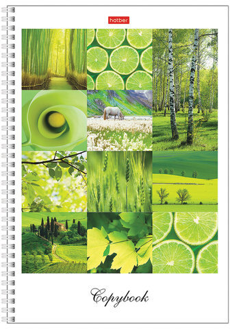 Тетрадь А4, 80 л., HATBER, гребень, клетка, сплошной лак, цветной срез, "Краски дня" (4 вида), 80Т4В1гр