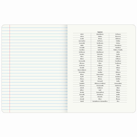 Тетрадь предметная "ANIME" 48 л., глянцевый УФ-лак, РУССКИЙ ЯЗЫК, линия, BRAUBERG, 404541