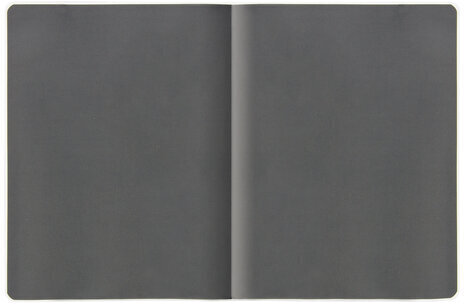 Дневник 1-4 класс 48 л., кожзам (гибкая), печать, фольга, ЮНЛАНДИЯ, "СКОРОСТЬ", 105934