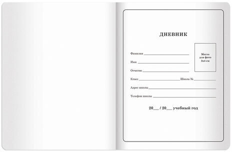 Дневник 1-4 класс 48 л., кожзам (гибкая), печать, фольга, ЮНЛАНДИЯ, "СКОРОСТЬ", 105934