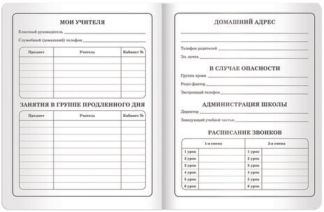 Дневник 1-4 класс 48 л., кожзам (гибкая), печать, фольга, ЮНЛАНДИЯ, "СКОРОСТЬ", 105934