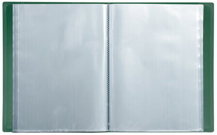 Папка 60 вкладышей BRAUBERG стандарт, зеленая, 0,8 мм, 228684
