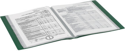 Папка 60 вкладышей BRAUBERG стандарт, зеленая, 0,8 мм, 228684