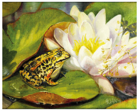 Картина по номерам 40х50 см, ОСТРОВ СОКРОВИЩ "Водная идиллия", на подрамнике, акрил, кисти, 662907