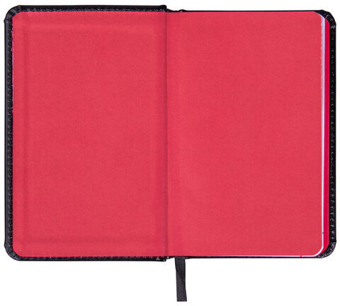 Ежедневник датированный 2023 МАЛЫЙ ФОРМАТ 100х150 мм А6, BRAUBERG "Rainbow", под кожу, черный, 113925