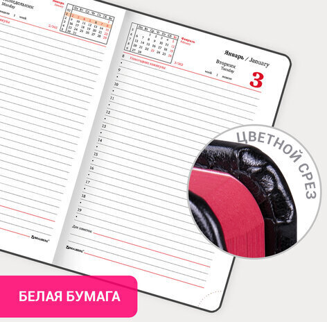 Ежедневник датированный 2023 МАЛЫЙ ФОРМАТ 100х150 мм А6, BRAUBERG "Rainbow", под кожу, черный, 113925