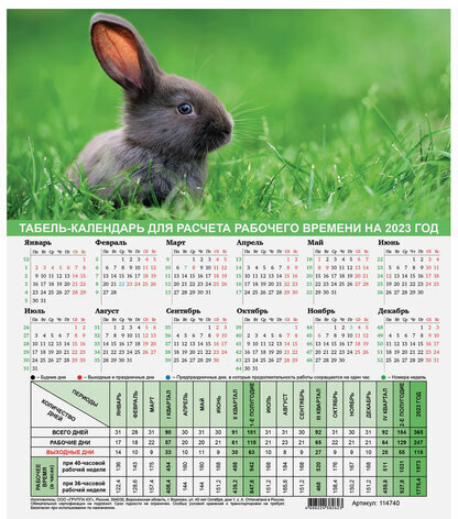 Календарь-табель на 2023 год с рабочими и выходными днями, А4 (195х225 мм), "Символ года", 114740