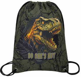 Мешок для обуви BRAUBERG PREMIUM, карман, подкладка, светоотражайка, 43х33 см, Dino attack, 272424