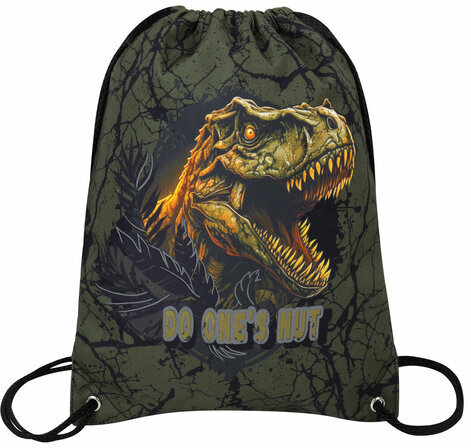 Мешок для обуви BRAUBERG PREMIUM, карман, подкладка, светоотражайка, 43х33 см, Dino attack, 272424