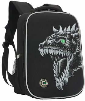 Ранец GRIZZLY анатомическая спинка, облегченный, для мальчиков, DRAGON, 37х26х16 см, RAw-497-3/1
