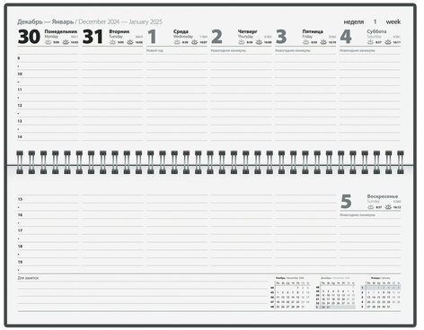 Планинг датированный 2025 285х112 мм, STAFF, гребень, картонная обложка, 64 л., "Россия", 116049