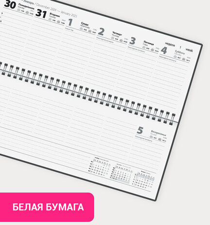 Планинг датированный 2025 285х112 мм, STAFF, гребень, картонная обложка, 64 л., "Россия", 116049
