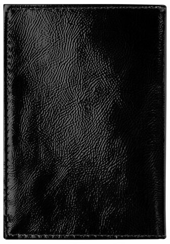 Обложка для паспорта натуральная кожа "наплак", тиснение серебром "Airplane", черная, BRAUBERG, 238212