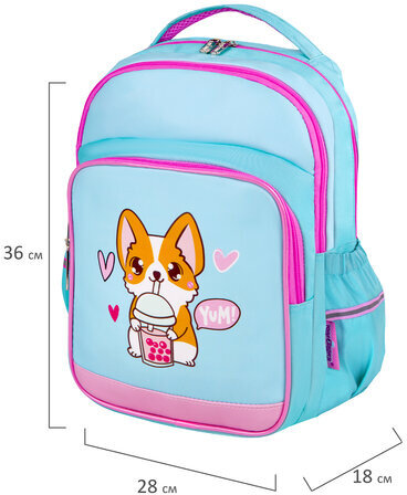 Рюкзак ЮНЛАНДИЯ MILD, 2 отделения, 3 кармана, эрго-спинка, "Corgi", 36х28х18 см, 270679