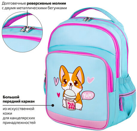 Рюкзак ЮНЛАНДИЯ MILD, 2 отделения, 3 кармана, эрго-спинка, "Corgi", 36х28х18 см, 270679