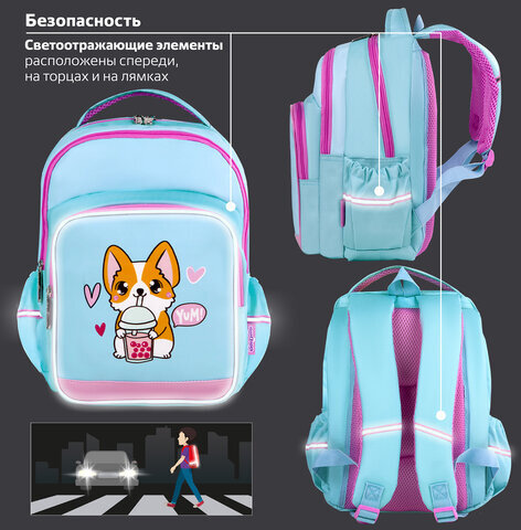 Рюкзак ЮНЛАНДИЯ MILD, 2 отделения, 3 кармана, эрго-спинка, "Corgi", 36х28х18 см, 270679