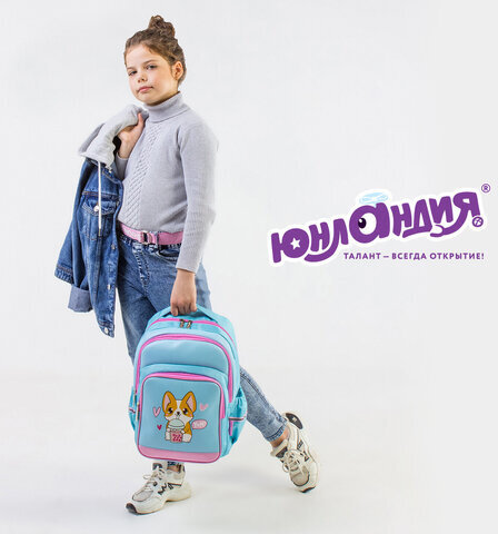 Рюкзак ЮНЛАНДИЯ MILD, 2 отделения, 3 кармана, эрго-спинка, "Corgi", 36х28х18 см, 270679