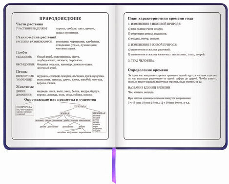 Дневник 1-4 класс 48 л., кожзам (твердая с поролоном), печать, аппликация, ЮНЛАНДИЯ, "ФУТБОЛ", 105936