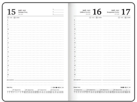 Ежедневник датированный 2026 с резинкой 145х203 мм, А5, BRAUBERG, твердый, фольга, "Ромашки", 117346