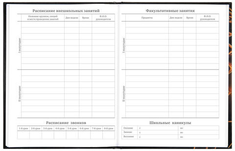Дневник МП 1-11 класс 48 л., твердый, BRAUBERG, глянцевая ламинация, с подсказом, "Футбол", 106644