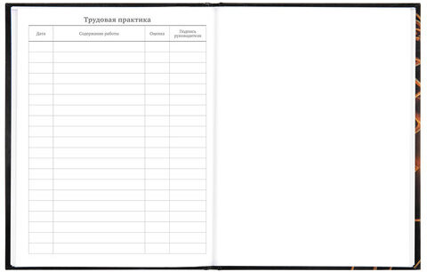 Дневник МП 1-11 класс 48 л., твердый, BRAUBERG, глянцевая ламинация, с подсказом, "Футбол", 106644