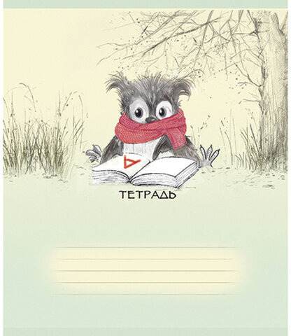 Тетрадь 18 л., ПЗБМ, клетка, конгрев, выборочный лак, "Совёнок Филя" (5 видов), 017064