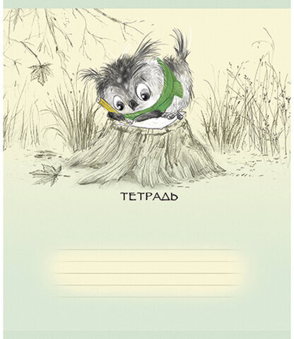 Тетрадь 18 л., ПЗБМ, клетка, конгрев, выборочный лак, "Совёнок Филя" (5 видов), 017064