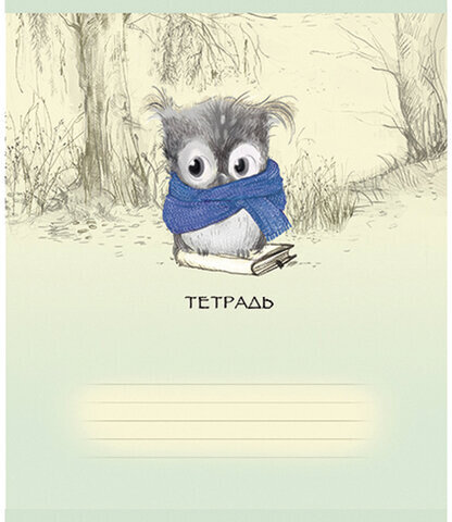 Тетрадь 18 л., ПЗБМ, клетка, конгрев, выборочный лак, "Совёнок Филя" (5 видов), 017064