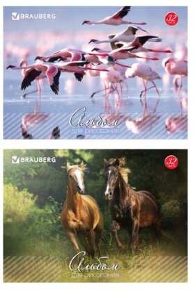 Альбом для рисования, А4, 32 листа, скоба, обложка картон, BRAUBERG, 200х283 мм, "Живая природа" (2 вида), 103683