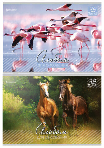 Альбом для рисования, А4, 32 листа, скоба, обложка картон, BRAUBERG, 200х283 мм, "Живая природа" (2 вида), 103683