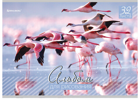 Альбом для рисования, А4, 32 листа, скоба, обложка картон, BRAUBERG, 200х283 мм, "Живая природа" (2 вида), 103683