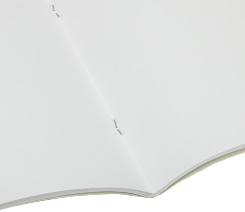 Альбом для рисования, А4, 32 листа, скоба, обложка картон, BRAUBERG, 200х283 мм, "Живая природа" (2 вида), 103683