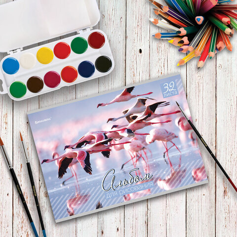 Альбом для рисования, А4, 32 листа, скоба, обложка картон, BRAUBERG, 200х283 мм, "Живая природа" (2 вида), 103683