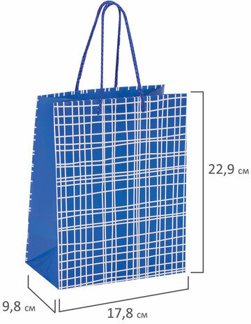 Пакет подарочный 17,8x9,8x22,9 см, ЗОЛОТАЯ СКАЗКА "В голубую клетку", ламинированный, 606597
