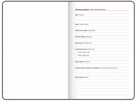 Ежедневник датированный 2025 А5 138x213 мм BRAUBERG "Rainbow", под кожу, розовый, 115802