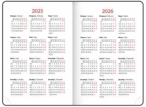 Ежедневник датированный 2025 А5 138x213 мм BRAUBERG "Rainbow", под кожу, розовый, 115802